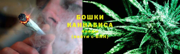индика Пестово
