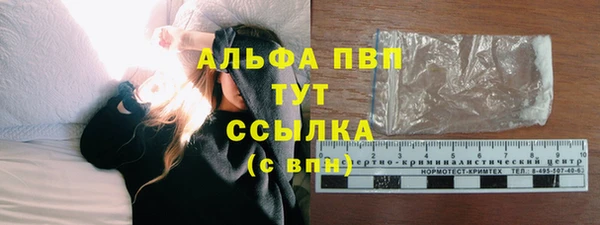 индика Пестово
