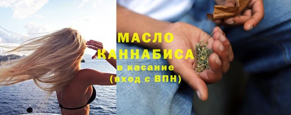 индика Пестово