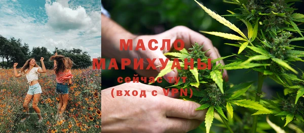 индика Пестово