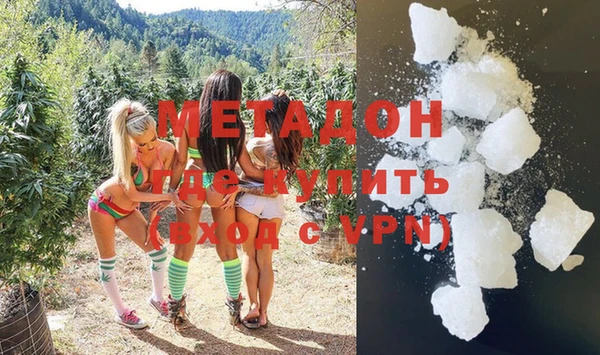 индика Пестово