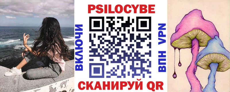 Псилоцибиновые грибы Psilocybine cubensis  Купить закладки  Клин 