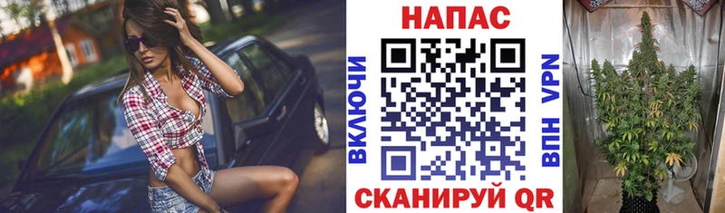 Купить где  Клин  Шишки марихуана планчик 